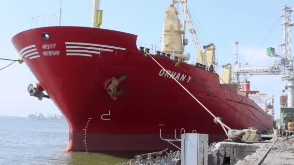 クラスノダール準州 ロシア 2019 ばら積み貨物を待っているロープでバースに貨物船が係留されています — ストック動画