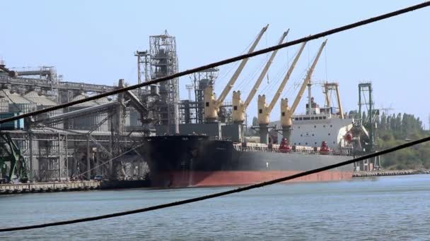 Loď Dorazila Přístavu Stojí Poblíž Kotviště Vykládka Jeřábů Objemný Náklad — Stock video