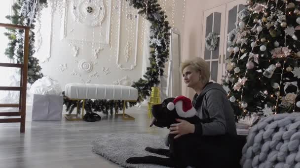 Menina bonita na sessão de fotos de Natal com seu cão amado cor preta — Vídeo de Stock