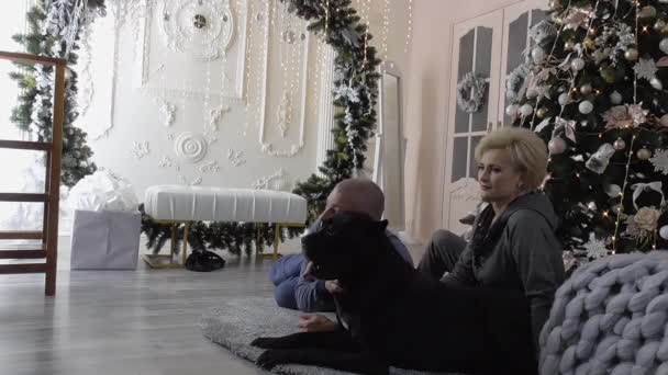 Сімейна різдвяна стрілянина в студії зі своїм улюбленим собакою біля дерева — стокове відео