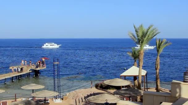 Плавучі човни в Червоному морі Sharm el Sheikh — стокове відео