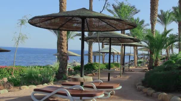埃及旅游线红海上的海滩 — 图库视频影像