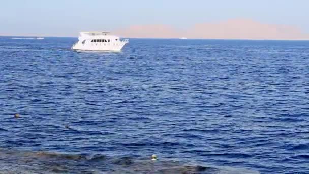Imbarcazioni da diporto nel Mar Rosso Egitto Sharm el Sheikh — Video Stock