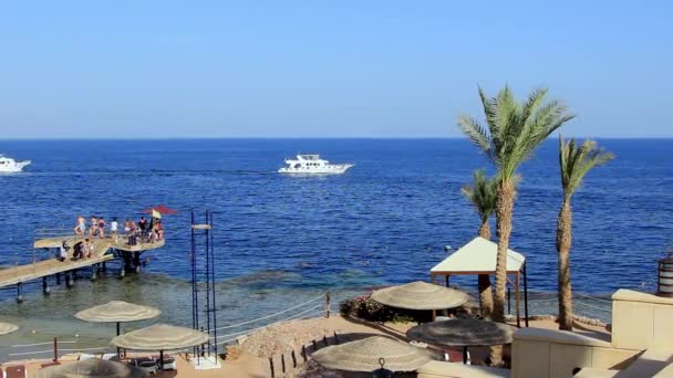 Coral strand mólóval és csónak a Vörös-tenger közelében a zátony. Egyiptom Sharm El Sheikh — Stock videók