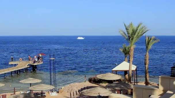 珊瑚海滩与码头和船红海附近的珊瑚礁。 埃及Sharm El Sheikh — 图库视频影像