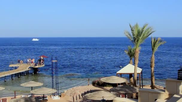 Praia de coral com cais e barco no Mar Vermelho perto do recife. Egito Sharm El Sheikh — Vídeo de Stock
