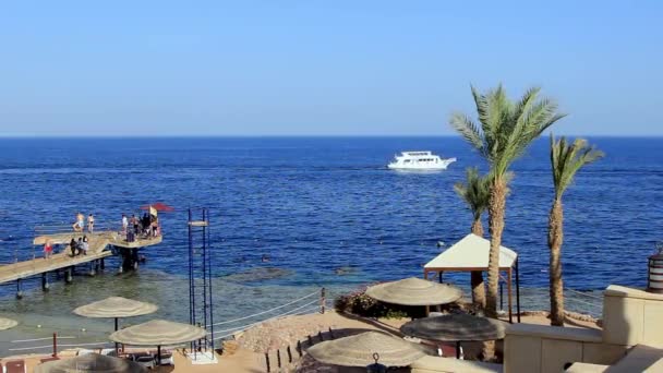 珊瑚海滩与码头和船红海附近的珊瑚礁。 埃及Sharm El Sheikh — 图库视频影像
