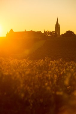 Saint Emilion bağ Sunrise, Bordeaux şarabı