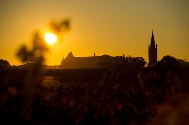Saint Emilion bağ Sunrise, Bordeaux şarabı