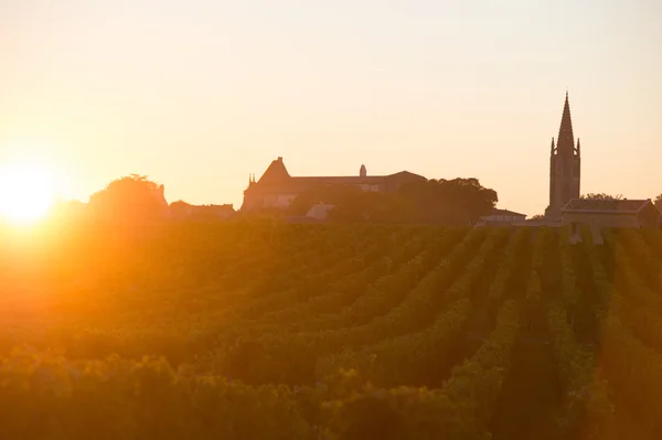 Saint Emilion wijngaard Sunrise, Bordeaux wijn — Stockfoto