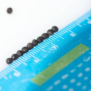 İşleme tesisi, mersin balığı yumurta kalitesini ölçmek havyar