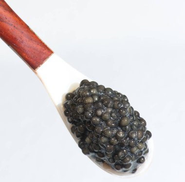 Fishs yumurta bir kaşık, Estugeon
