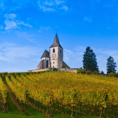 Hunawihr, Alsace Vineyard, France