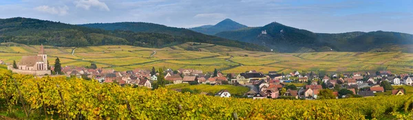 Hunawihr, Alsace Vineyard, France — Stock Photo, Image