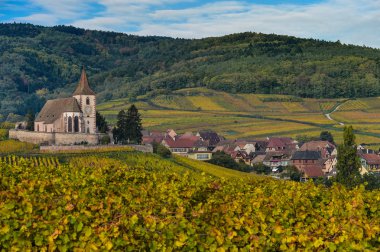 Hunawihr, Alsace Vineyard, France