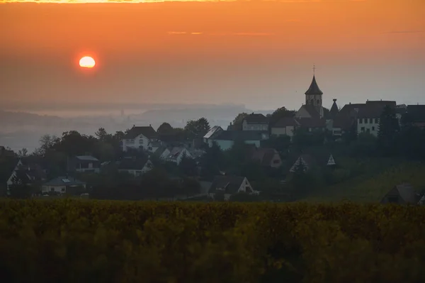 Zellenberg 村庄在日出，阿尔萨斯地区的葡萄园，法国 — 图库照片