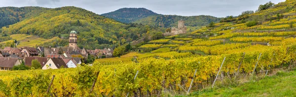 Vineyard and townscape Kaysersberg, Alsace in France — Stock Photo, Image