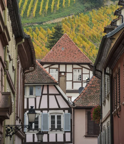 Ribeauville, Bas-Rhin, Alsace, exterior old half-timbered houses, vineyard — Stock Photo, Image