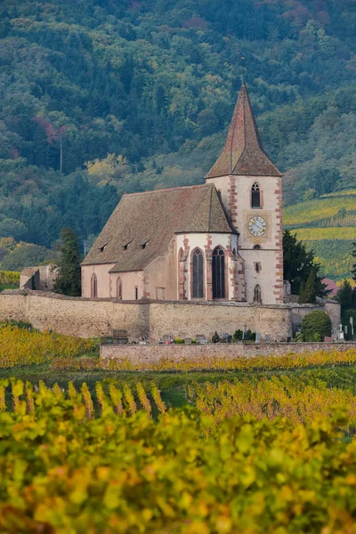 Hunawihr, Alsace Vineyard, France — Stockfoto