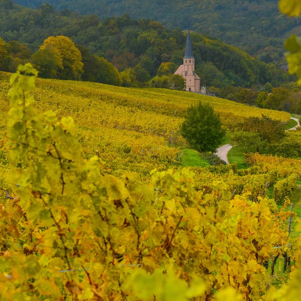 Pohled na vesnici Andlau a církev na podzim, Alsasko, Francie — Stock fotografie