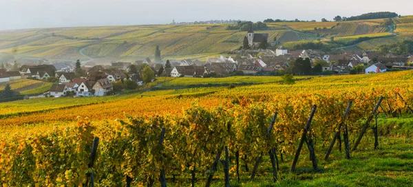 Elsässische Weinberge, Elsass, Frankreich, Europa, Herbst, Gebirge, — Stockfoto