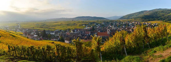 Alsacia pueblo, con viñedo, Riquewhir. Francia — Foto de Stock