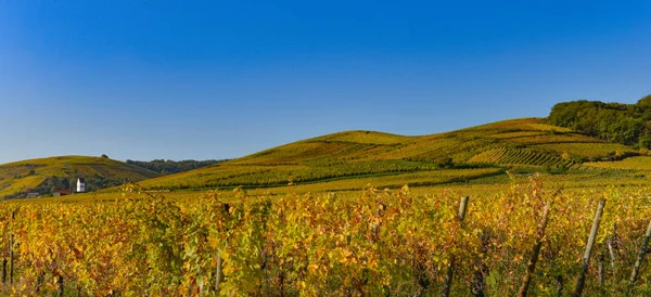 Винная дорога, виноградники Эльзаса во Франции — стоковое фото
