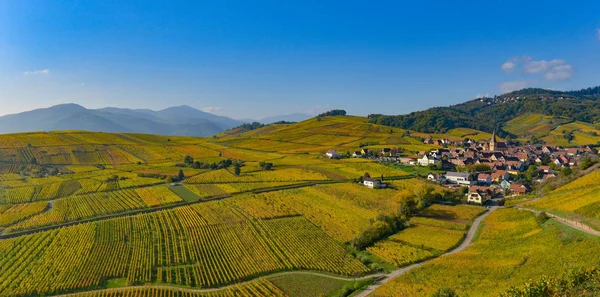 Niedermorschwih, elsässische Weinberge, Elsass, Frankreich, Europa, Herbst, Gebirge, — Stockfoto