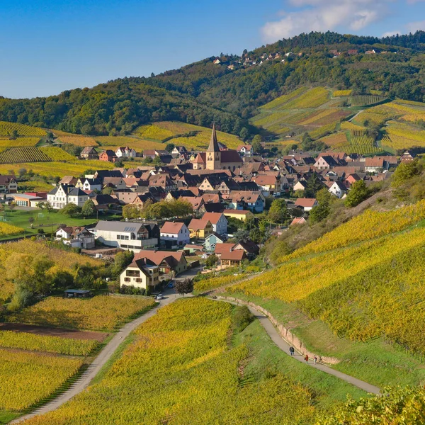 Niedermorschwih, elsässische Weinberge, Elsass, Frankreich, Europa, Herbst, Gebirge, — Stockfoto