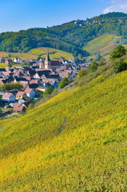 Niedermorschwih, Alsas üzüm bağları, Alsace, Fransa, Avrupa, Sonbahar, dağ,