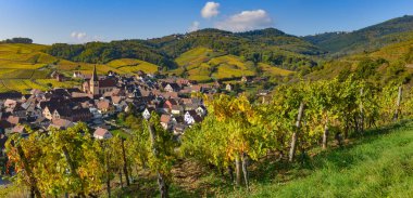 Niedermorschwih, Alsas üzüm bağları, Alsace, Fransa, Avrupa, Sonbahar, dağ,