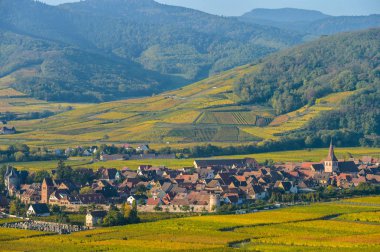 Vineyard and townscape Kaysersberg, Alsace in France clipart