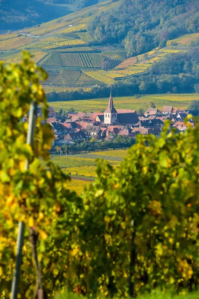 Bağ ve townscape Kaysersberg, Alsace Fransa — Stok fotoğraf