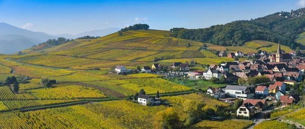 Niedermorschwih, elsässische Weinberge, Elsass, Frankreich, Europa, Herbst, Gebirge, — Stockfoto