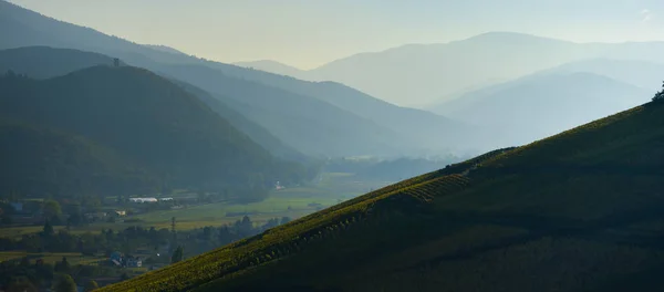 Alsace Vineyards, in autumn, France — Stock Photo, Image