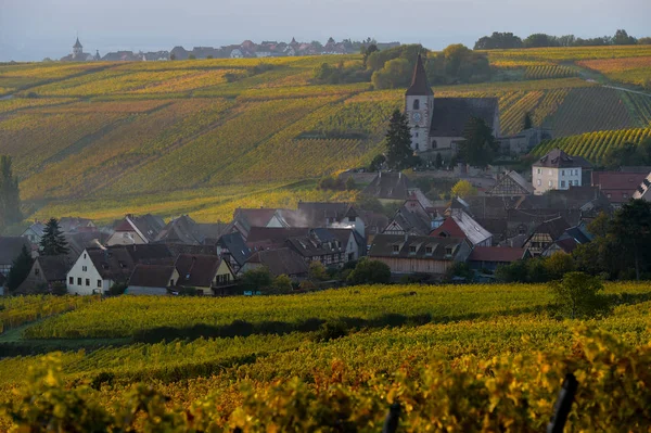 Opevněné a středověký kostel v vinice na podzim — Stock fotografie