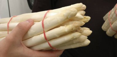 Bunch of white asparagus, Food clipart