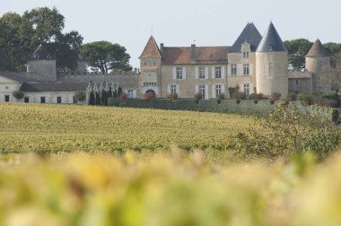 Vineyard and Chateau d'Yquem, Sauternes Region clipart