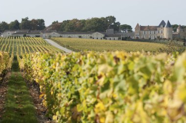 Bağ ve Chateau d'Yquem, Sauternes bölge