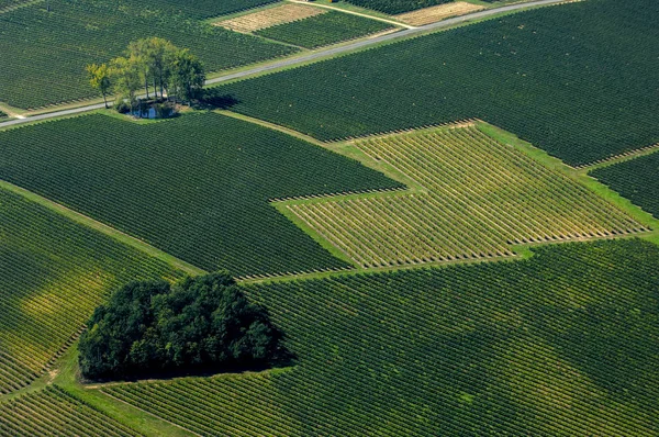 Vue aérienne du vignoble bordelais, France — Photo