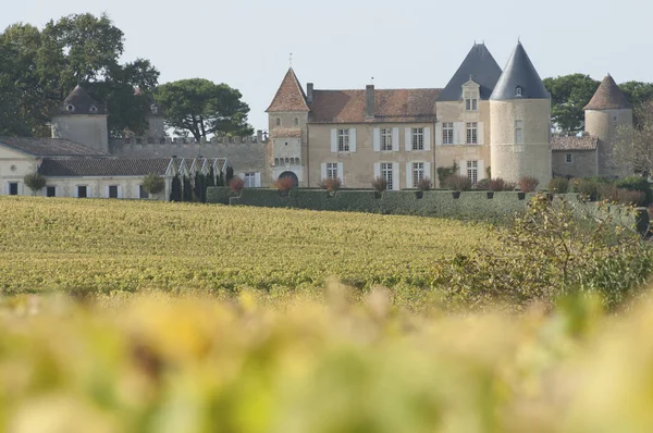 포도 원과 샤토 d'Yquem, Sauternes 지역 — 스톡 사진