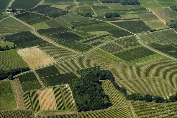 Vue aérienne du vignoble bordelais, France — Photo