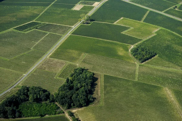 ボルドーのブドウ畑、フランスの空撮 — ストック写真