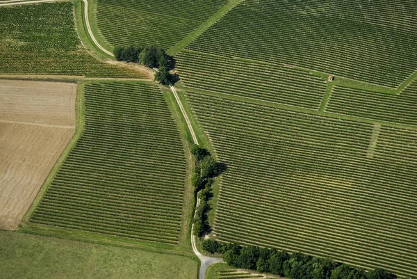 Luchtfoto van Bordeaux wijngaard, Frankrijk — Stockfoto