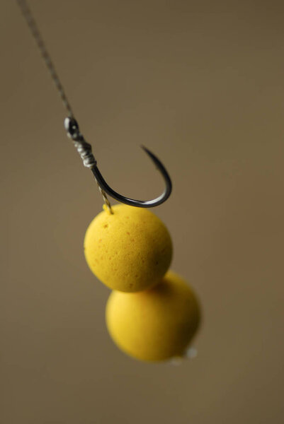 Fishing rig pop up in bait