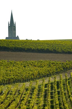 Saint Emilion, bağ Sunrise, Bordeaux şarabı, Fransa