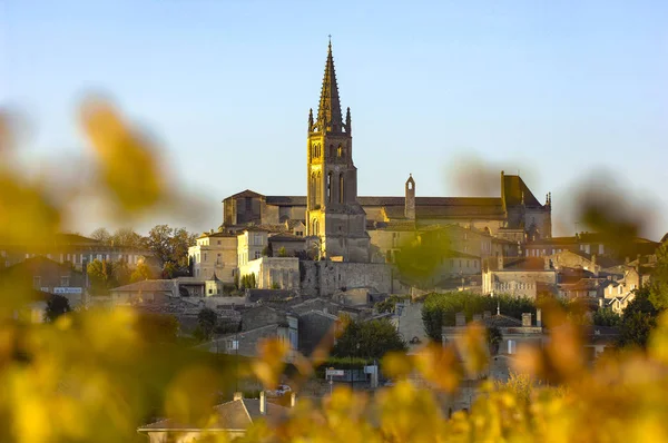Вино Saint-Emilion, виноградник Sunrise, Бордо, Франція — стокове фото