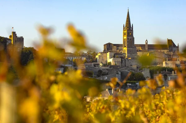 Вино Saint-Emilion, виноградник Sunrise, Бордо, Франція — стокове фото