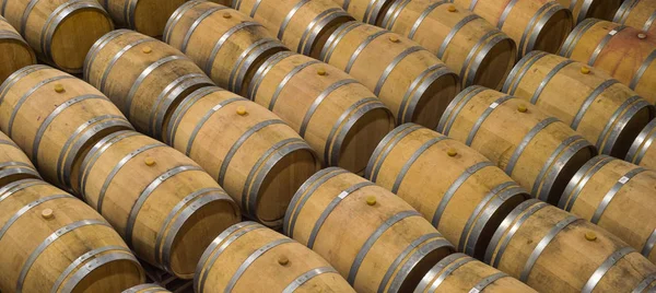 Barrels in Wine Cellar-Bordeaux Wineyard — Stock Photo, Image