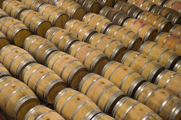 Barrels in Wine Cellar-Bordeaux Wineyard — Stock Photo, Image